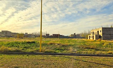 Terreno 360m2 - sobre ruta 7  - CENTENARIO