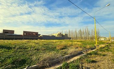 Terreno 360m2 - sobre ruta 7  - CENTENARIO