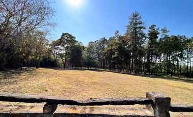 Espectacular finca de 3 hectáreas con casa en VENTA sobre ruta 305, El Timbó