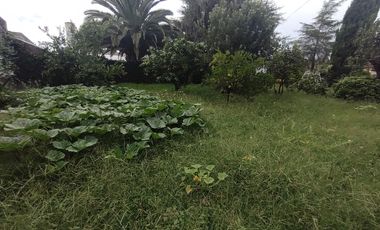 Amplia casa con terreno en  Peyrano