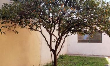 Venta Casa 3 Amb Ramos Mejia 8,66x24 U1a2
