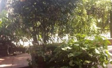 LOTE VENTA ITUZAINGO