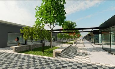Terreno en  Neander, Villa Amelia