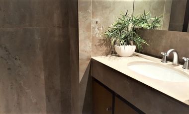 Venta Departamento Recoleta piso duplex vista a parques 483m2 - 5 dormitorios - 2 coch