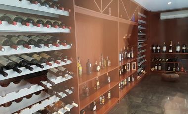 Venta Departamento Recoleta piso duplex vista a parques 483m2 - 5 dormitorios - 2 coch