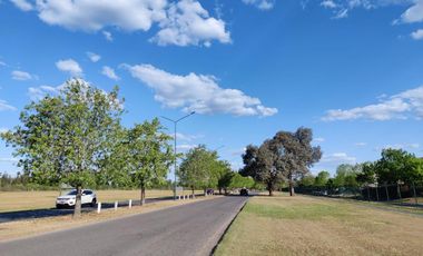 Terreno - San Ramiro