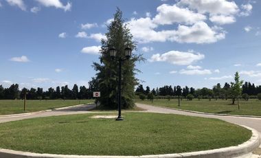 Terreno en Venta Azahares del Paraná, 1000 m2, Amenities, Permuta  !
