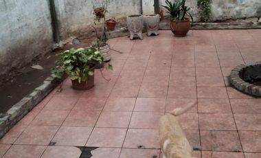 Casa lote ppio. en esquina-2 patios grandes