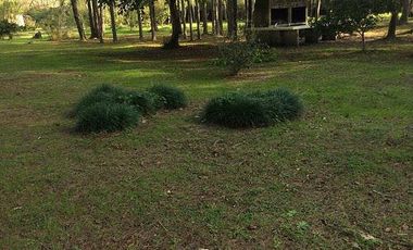 CASA QUINTA en ALQUILER TEMPORARIO EN EL DELTA 3 DORM 2 BAÑOS 9 PAX