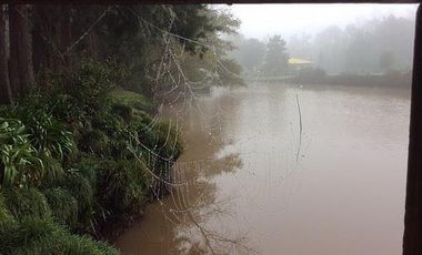 CASA QUINTA en ALQUILER TEMPORARIO EN EL DELTA 3 DORM 2 BAÑOS 9 PAX