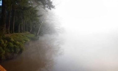 CASA QUINTA en ALQUILER TEMPORARIO EN EL DELTA 3 DORM 2 BAÑOS 9 PAX