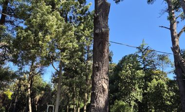 Terreno en  Bosque Peralta Ramos