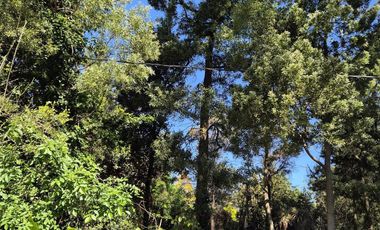 Terreno en  Bosque Peralta Ramos