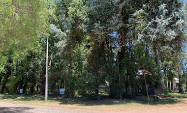 Terreno Barrio Los Pinos - Venado Tuerto