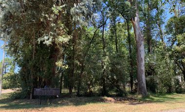 Terreno Barrio Los Pinos - Venado Tuerto