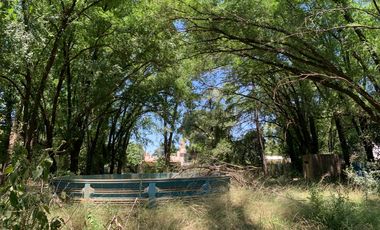 Terreno Barrio Los Pinos - Venado Tuerto