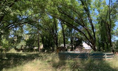Terreno Barrio Los Pinos - Venado Tuerto