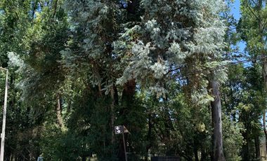 Terreno Barrio Los Pinos - Venado Tuerto