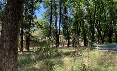 Terreno Barrio Los Pinos - Venado Tuerto