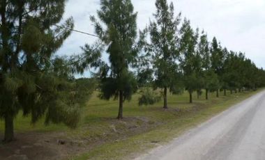 Terreno en venta - 2400mts2 - Campos de Roca II, Coronel Brandsen