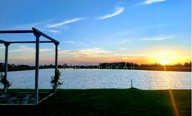 Terreno en venta - 2400mts2 - Campos de Roca II, Coronel Brandsen