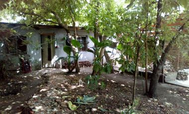 Magin Roca Nº 547