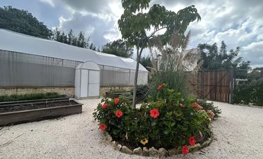 Espectacular residencia en Tepoztlan.