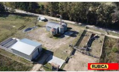 FEEDLOT EN ALQUILER – RUTA 7 KM 87 – LUJAN