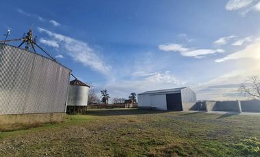 FEEDLOT EN ALQUILER – RUTA 7 KM 87 – LUJAN