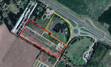 FEEDLOT EN ALQUILER – RUTA 7 KM 87 – LUJAN