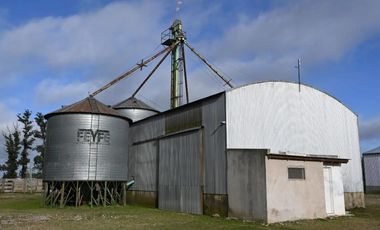 FEEDLOT EN ALQUILER – RUTA 7 KM 87 – LUJAN