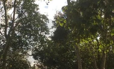 Coatepec Veracruz Bellisimo terreno, Ideal para desarrolladores.