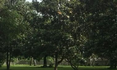 Coatepec Veracruz Bellisimo terreno, Ideal para desarrolladores.