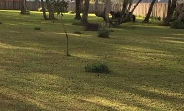 Coatepec Veracruz Bellisimo terreno, Ideal para desarrolladores.