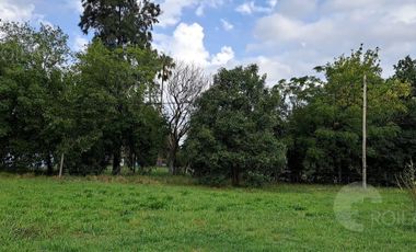 Venta Casa 3 Ambientes Hecha de Adobe con Jardín en Matheu Escobar