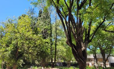 Maipu 1800 DOMUS PARQUE