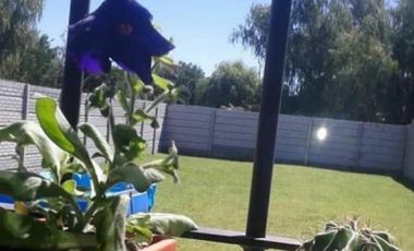 Casa venta 3 dormitorios venta - Cocheras- Pilar