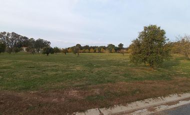 Lote 850 m2 - Azahares del Paraná - Fighiera Santa Fe | Venta