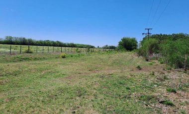 46 HECTAREAS DE CAMPO EN ZONA RURAL  - LOBOS