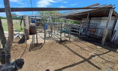 46 HECTAREAS DE CAMPO EN ZONA RURAL  - LOBOS