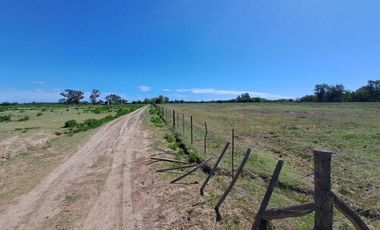 46 HECTAREAS DE CAMPO EN ZONA RURAL  - LOBOS