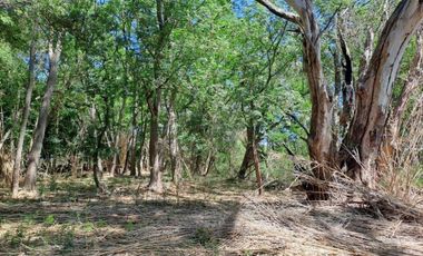46 HECTAREAS DE CAMPO EN ZONA RURAL  - LOBOS
