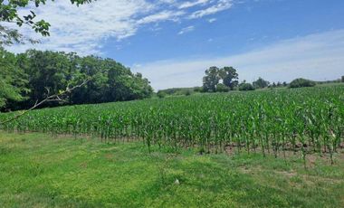 46 HECTAREAS DE CAMPO EN ZONA RURAL  - LOBOS