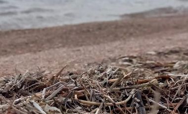 Terreno en  Venta en Bahía de Playas | Lago Mari Menuco