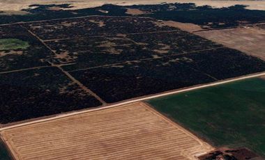 Campo en Necochea