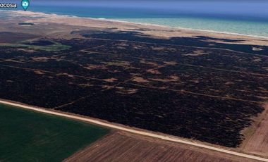 Campo en Necochea