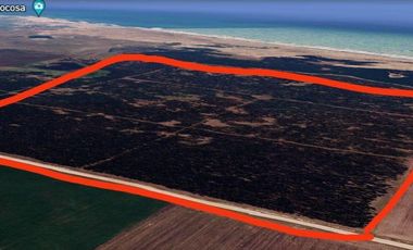 Campo en Necochea
