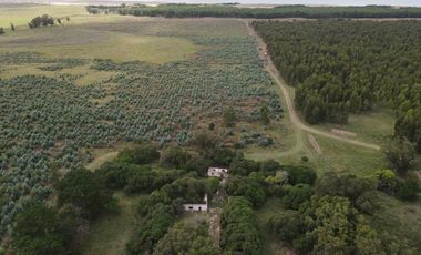 Campo en Necochea