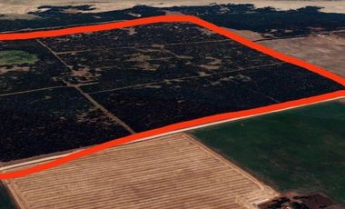 Campo en Necochea