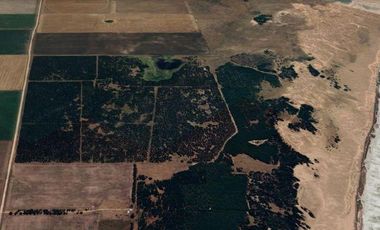 Campo en Necochea